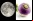 NASA quiere germinar plantas en la Luna NASA quiere germinar plantas en la Luna