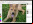Pinta: Editor de imágenes inspirado en Paint.NET