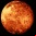 Deinococcus radiodurans: La bacteria astronauta Deinococcus radiodurans: La bacteria astronauta