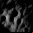 Primeras imágenes de la Luna de LRO Primeras imágenes de la Luna de LRO