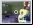 Ghostwire: Fantasmas y realidad aumentada (DSi) Ghostwire: Fantasmas y realidad aumentada (DSi)