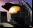 Halo Legends: El anime de Halo Halo Legends: El anime de Halo