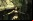 Tomb Raider: Underworld Tomb Raider: Underworld