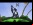 World of Goo
