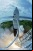 SpaceX Falcon 1 finalmente llega al espacio