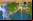 Spore