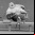 ZBrush: Modelado y escultura en 3D ZBrush: Modelado y escultura en 3D