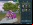 Spore Creature Creator