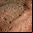NASA: Mars Phoenix Lander llegó a Marte NASA: Mars Phoenix Lander llegó a Marte