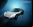 Rinspeed sQuba, el primer coche submarino