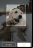 Cómo identificar la raza de un perro con una foto Cómo identificar la raza de un perro con una foto