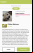 Cómo identificar la raza de un perro con una foto Cómo identificar la raza de un perro con una foto