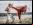 Street Fighter, la serie de TV: La historia de Street Fighter, la serie de TV: La historia de