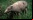 Animales que están al borde de la extinción (Galería)