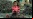 El infierno de la basura tecnológica en China (Galería)