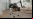 SpotMini: El nuevo perro-robot de Boston Dynamics