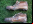 La evolución de las botas de fútbol en los Mundiales La evolución de las botas de fútbol en los Mundiales
