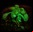 Starlight Avatar: La primera planta bioluminiscente comercial